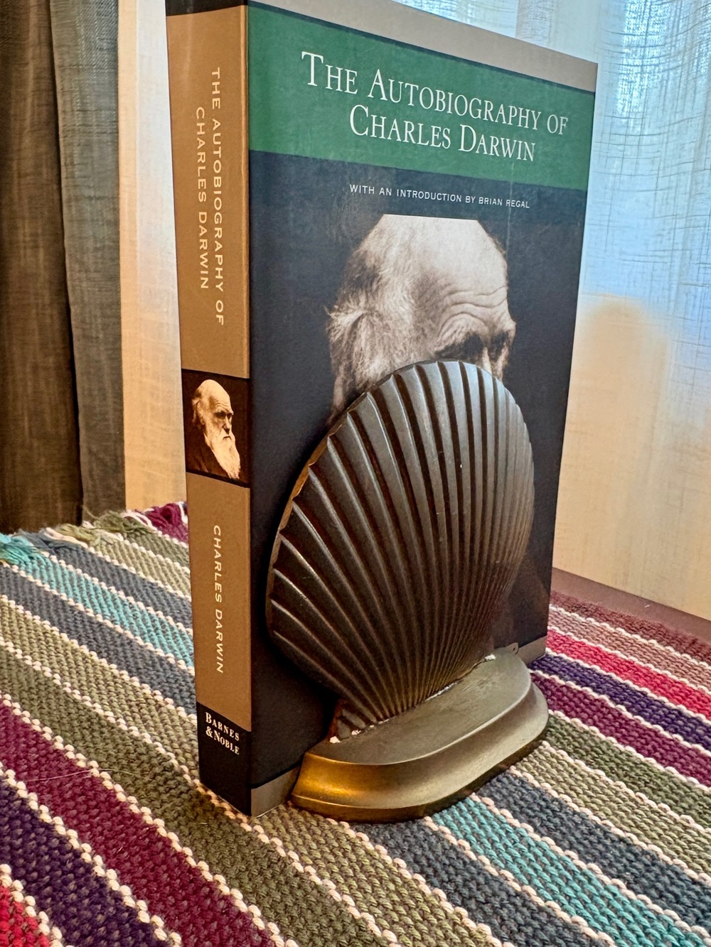 Vintage Shell Bookends - Brass Decorative Pair